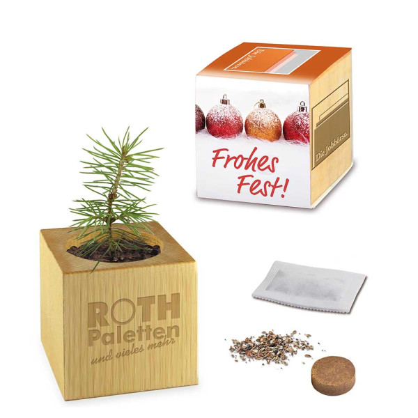 Pflanz-Holz Maxi Xmas mit Fichtensamen