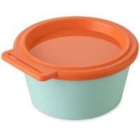 sweet green/strong coral