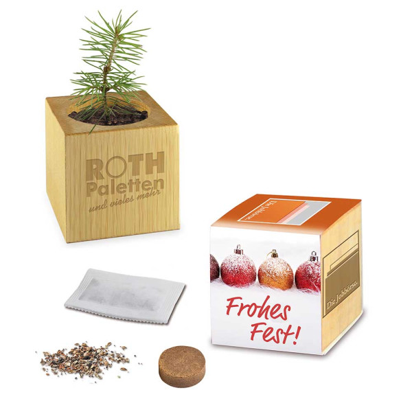 Pflanz-Holz Xmas mit Fichtensamen